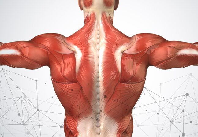 muscle pain along the spine